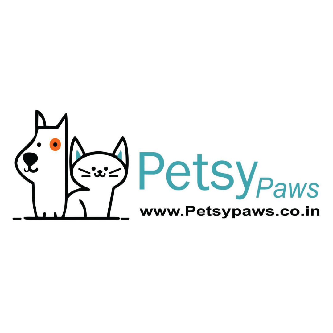 best digital marketing agency in lucknow client 27
